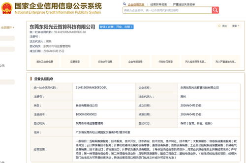 神秘交易方出手，东阳光未满月的子公司拿下190亿算力合同，股民惊叹 又一个海南华铁？